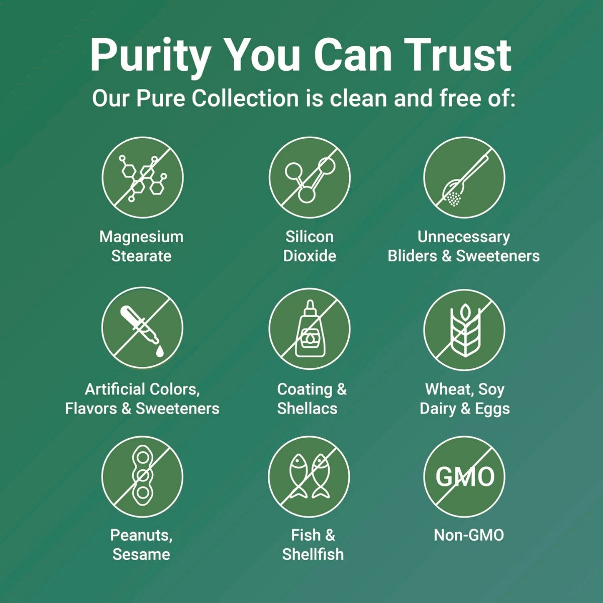 Turmeric Curcumin 1,000mg with Black Pepper & MCT Oil (1 Bottle)